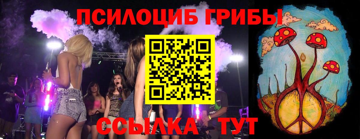 Псилоцибиновые грибы Psilocybine cubensis Нерюнгри