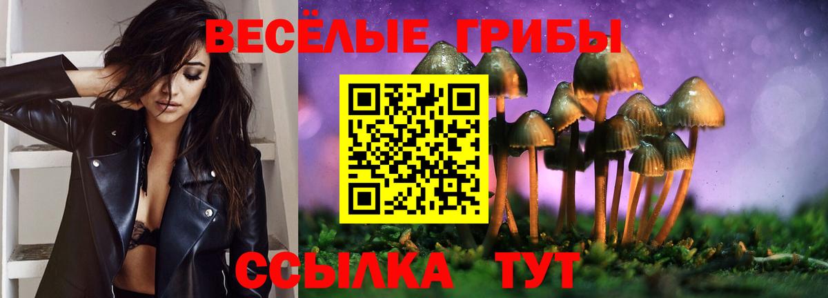 Нерюнгри  Галлюциногенные грибы Psilocybe  Вход с VPN 